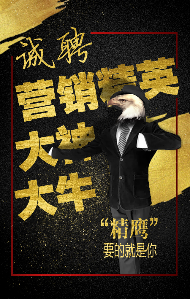 潍坊市潍城区“人才招聘大集”户外新模式点燃就业热情